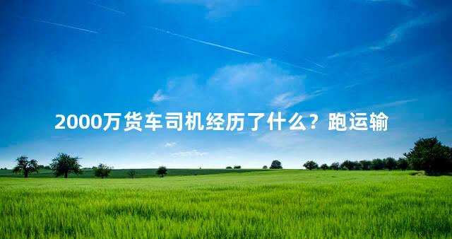 2000万货车司机经历了什么？跑运输的卡车司机有3000万,都是老司机？