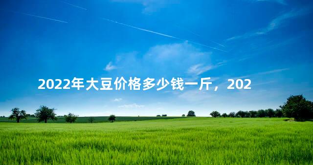 2022年大豆价格多少钱一斤，2022至2023黄豆价格会落价吗