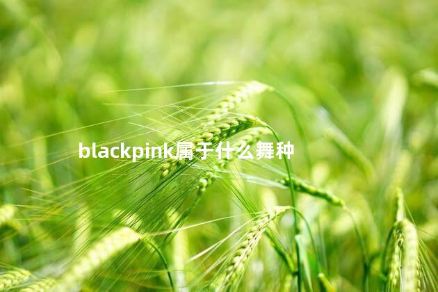 blackpink属于什么舞种