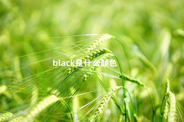 black是什么颜色