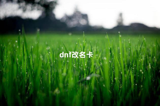 dnf改名卡