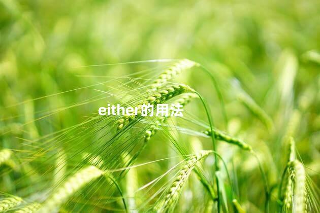 either的用法