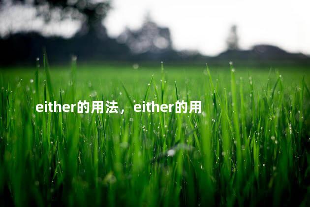 either的用法，either的用法和位置