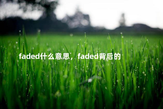 faded什么意思，faded背后的故事的男孩是谁