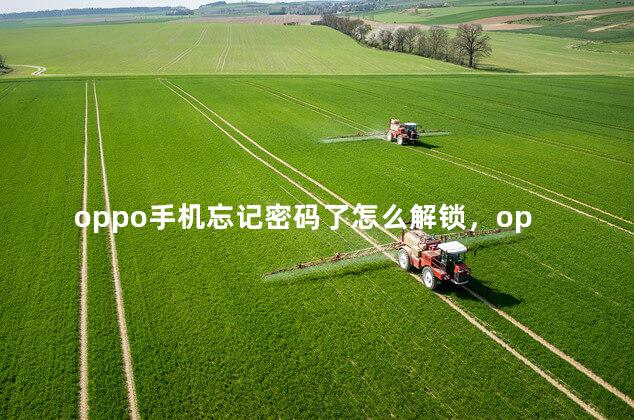 oppo手机忘记密码了怎么解锁，oppo手机6位数万能密码