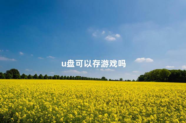 u盘可以存游戏吗