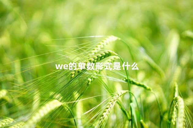 we的单数形式是什么