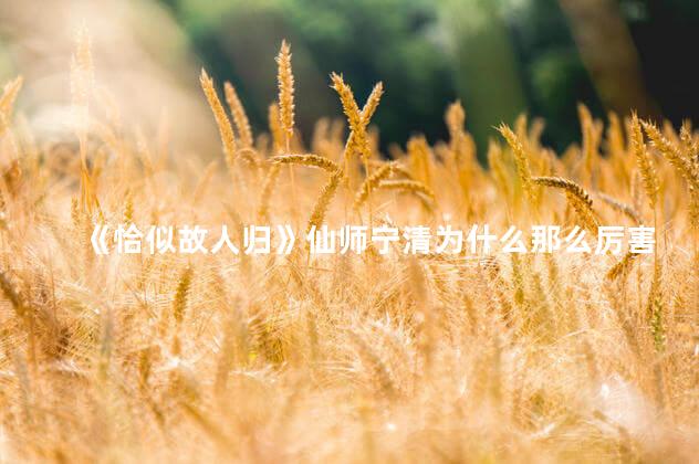 《恰似故人归》仙师宁清为什么那么厉害