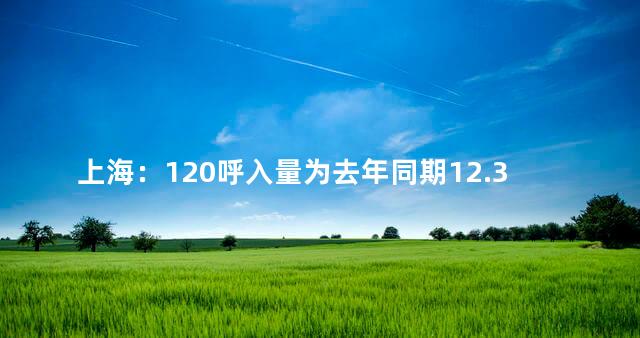 上海：120呼入量为去年同期12.3倍