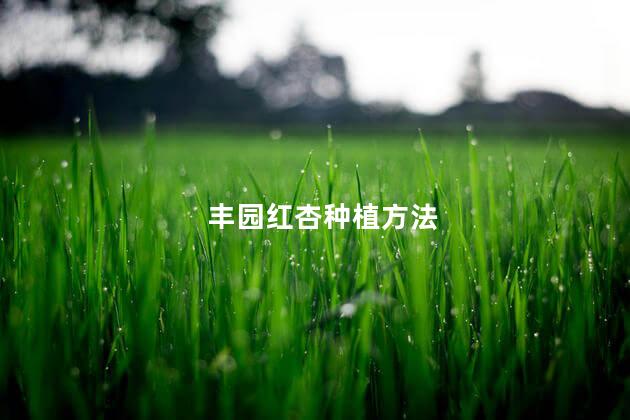 丰园红杏种植方法