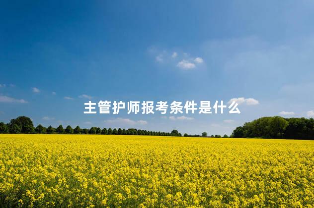 主管护师报考条件是什么