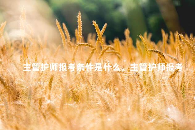 主管护师报考条件是什么，主管护师报考条件是什么意思