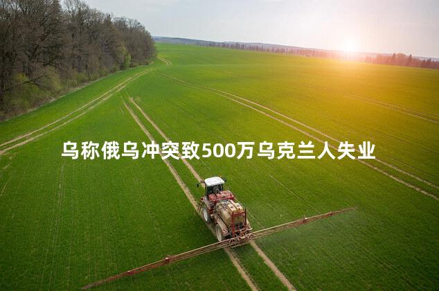 乌称俄乌冲突致500万乌克兰人失业