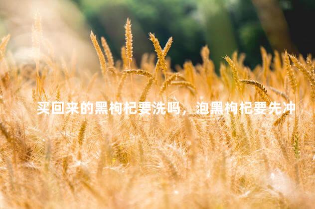 买回来的黑枸杞要洗吗，泡黑枸杞要先冲洗吗