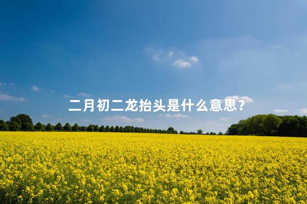 二月初二龙抬头是什么意思？