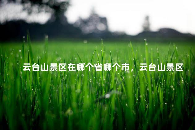 云台山景区在哪个省哪个市，云台山景区在哪个省哪个市白洋淀水上飞人在哪