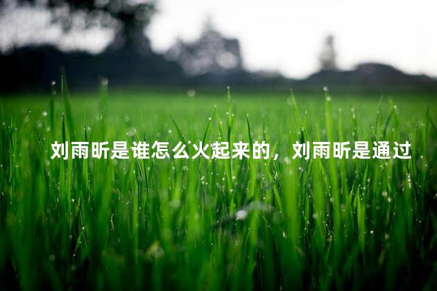 刘雨昕是谁怎么火起来的，刘雨昕是通过什么节目出道的