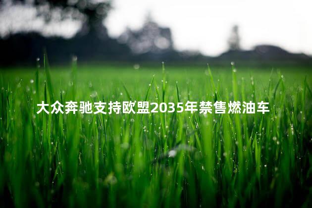 大众奔驰支持欧盟2035年禁售燃油车