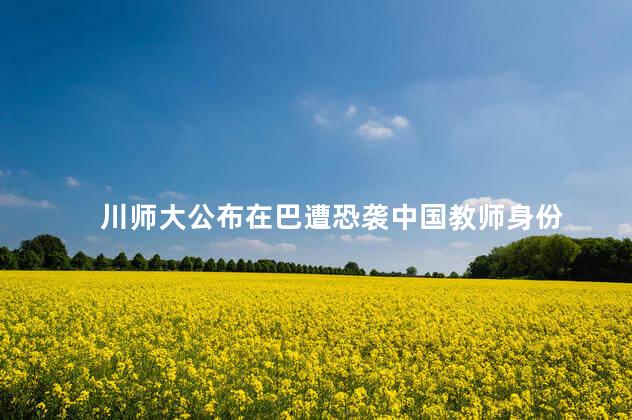 川师大公布在巴遭恐袭中国教师身份