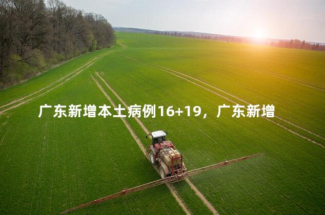 广东新增本土病例16+19，广东新增本土病例最新消息