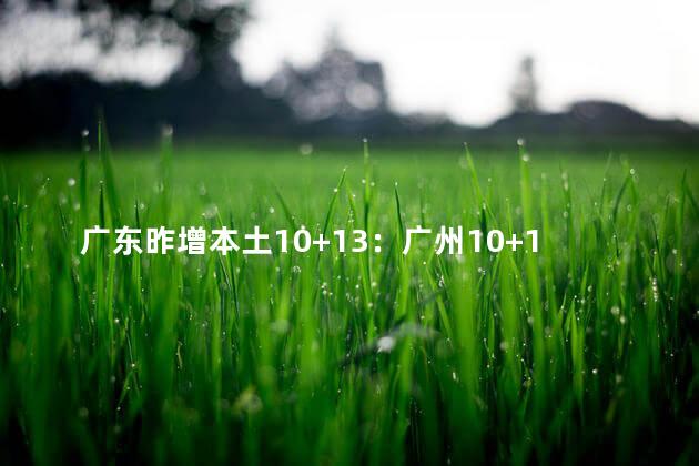 广东昨增本土10+13：广州10+1