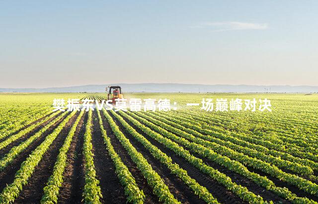 樊振东VS莫雷高德：一场巅峰对决