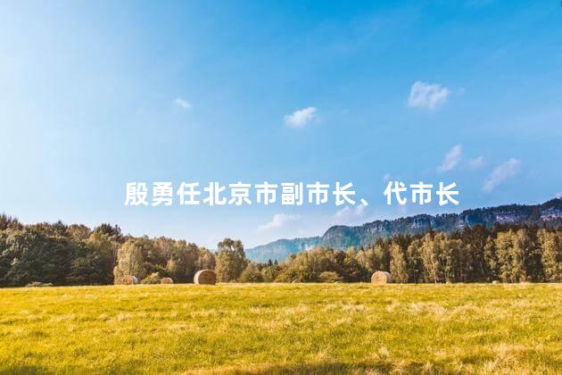 殷勇任北京市副市长、代市长