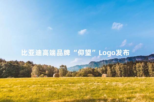 比亚迪高端品牌“仰望”Logo发布