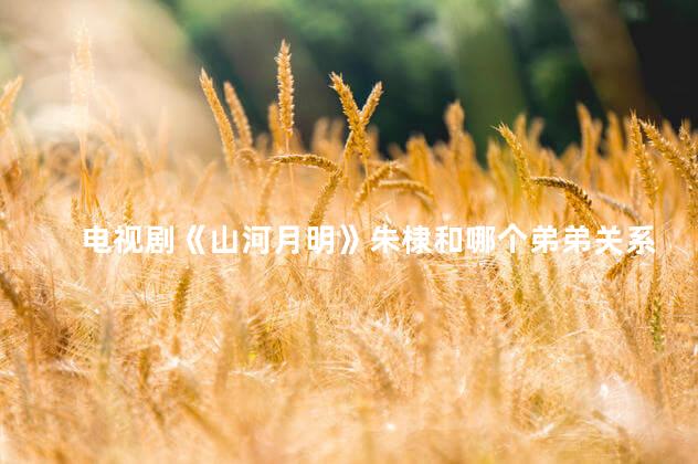 电视剧《山河月明》朱棣和哪个弟弟关系最好