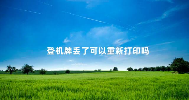 登机牌丢了可以重新打印吗