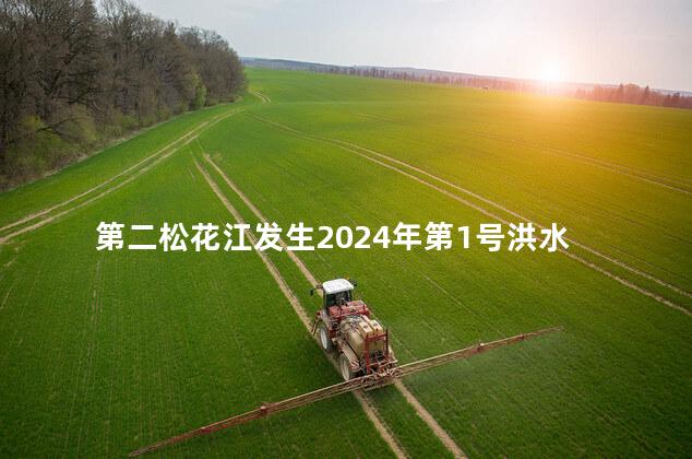 第二松花江发生2024年第1号洪水