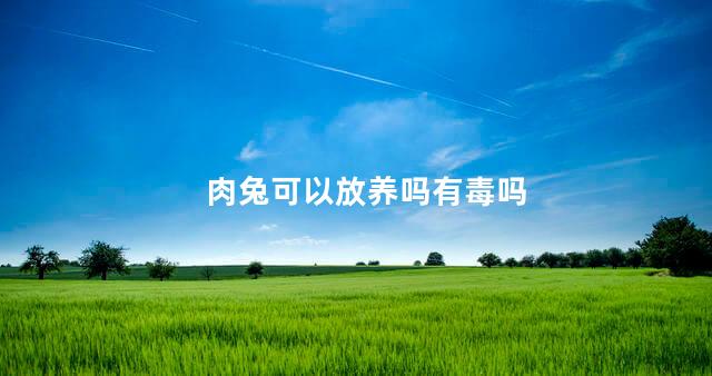 肉兔可以放养吗有毒吗