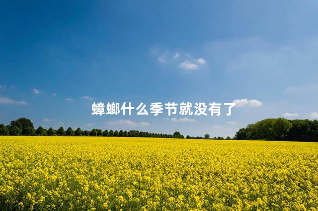 蟑螂什么季节就没有了