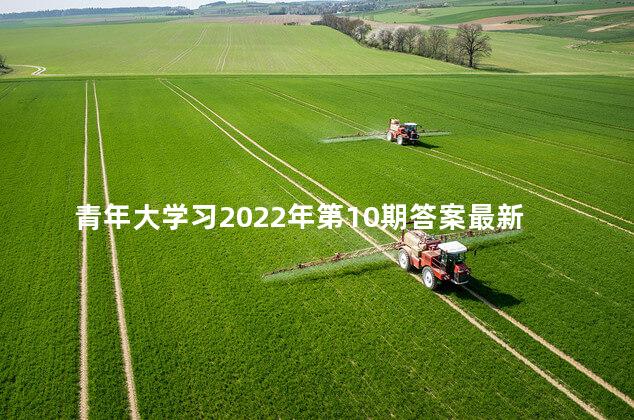 青年大学习2022年第10期答案最新分享