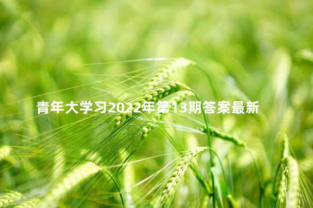 青年大学习2022年第13期答案最新分享，青年大学习网上主题团课