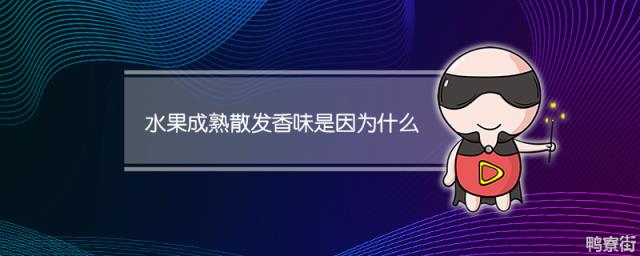 水果成熟散发香味是因为什么