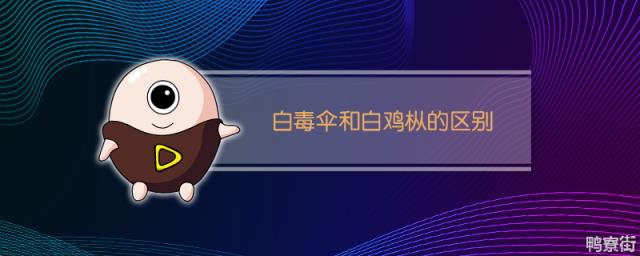 白毒伞和白鸡枞有什么不同